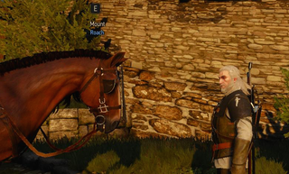 Illustration for article titled 15 Little Things I Love About The Witcher 3